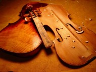 annonces.Toulouse-annuaire - Professeur De Violon Et Alto