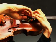 annonces.Toulouse-annuaire - Cours De Violon Tous Niveaux  Domicile Sur Toulouse