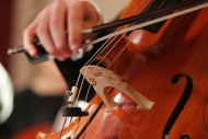 annonces.Toulouse-annuaire - Cours De Violoncelle  Domicile Toulouse Et Environs