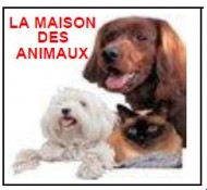 annonces.Toulouse-annuaire - L't  La Maison Des Animaux